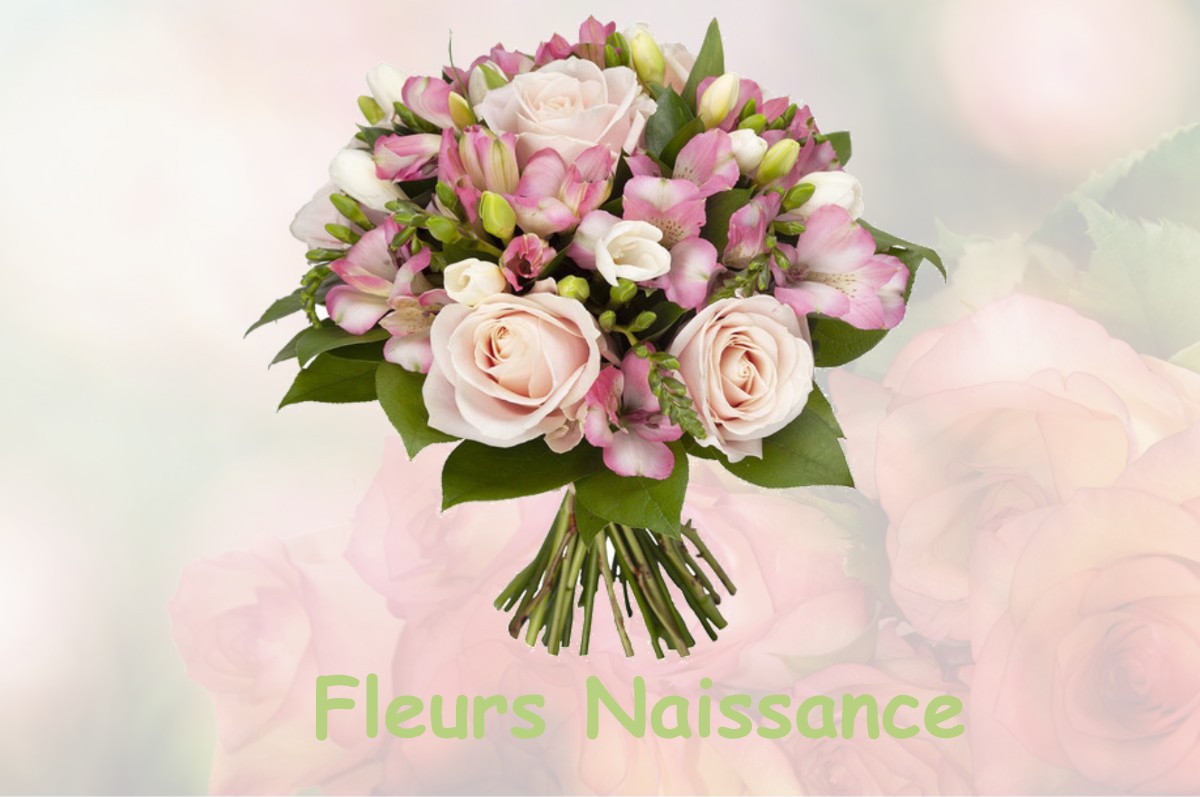 fleurs naissance SAINT-MARC-JAUMEGARDE