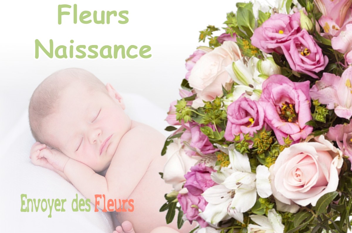 lIVRAISON FLEURS NAISSANCE à SAINT-MARC-JAUMEGARDE